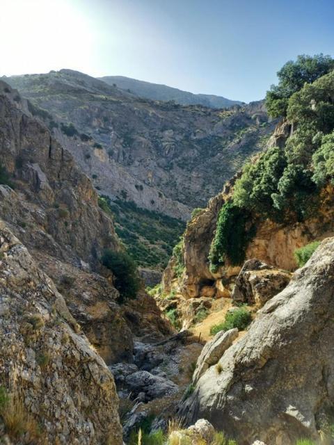 Cave Holidays Andalucia Los Carriones エクステリア 写真